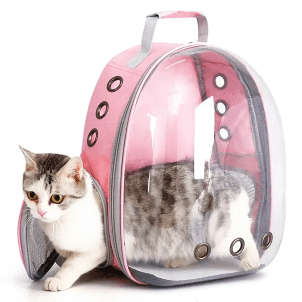 Mochila para mascotas para perros y gatos con vista panorámica de astronauta en acrílico