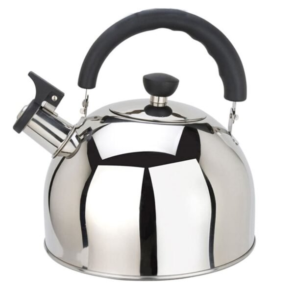 Hervidor de agua silbante de acero inoxidable de 2,5 litros con tapa y asa para cocina