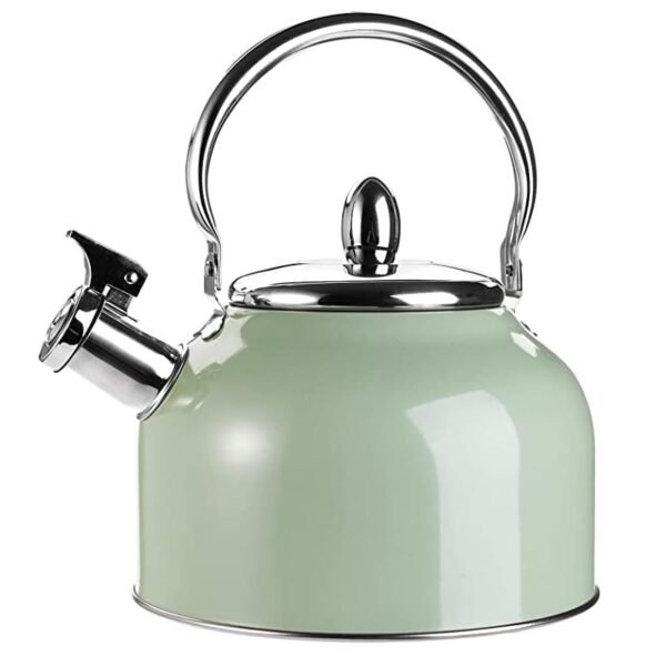Hervidor de agua silbante moderno de acero inoxidable de 3 litros, color verde